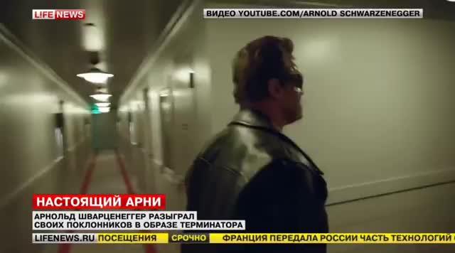 Шварценеггер напугал людей, ожив в музее восковых фигур