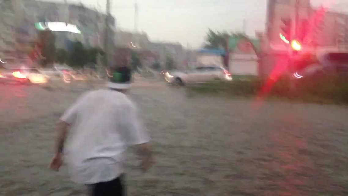 Переплыл дорогу на красный