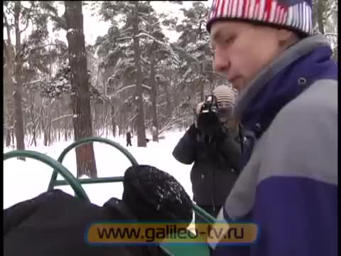 Галилео. Первая помощь (часть 4)