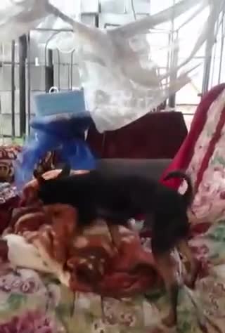 Видео, напрочь меняющее мировозрение