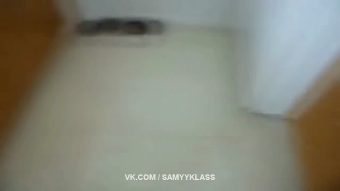 ЛУЧШИЕ ПРИКОЛЫ SAMYY KLASS (ВЫПУСК 214)