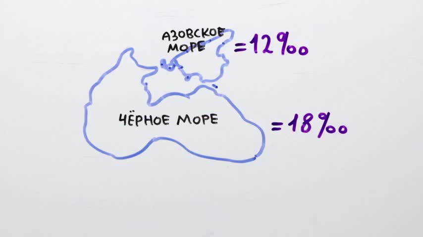 Почему море соленое - Научпок
