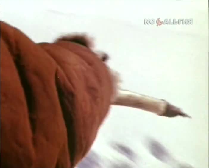 Зимой на Камчатке (1977)