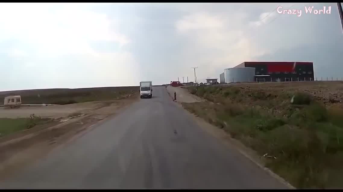 CОБАКА СПАСАЕТ СОБАКУ! УНИКАЛЬНОЕ ВИДЕО