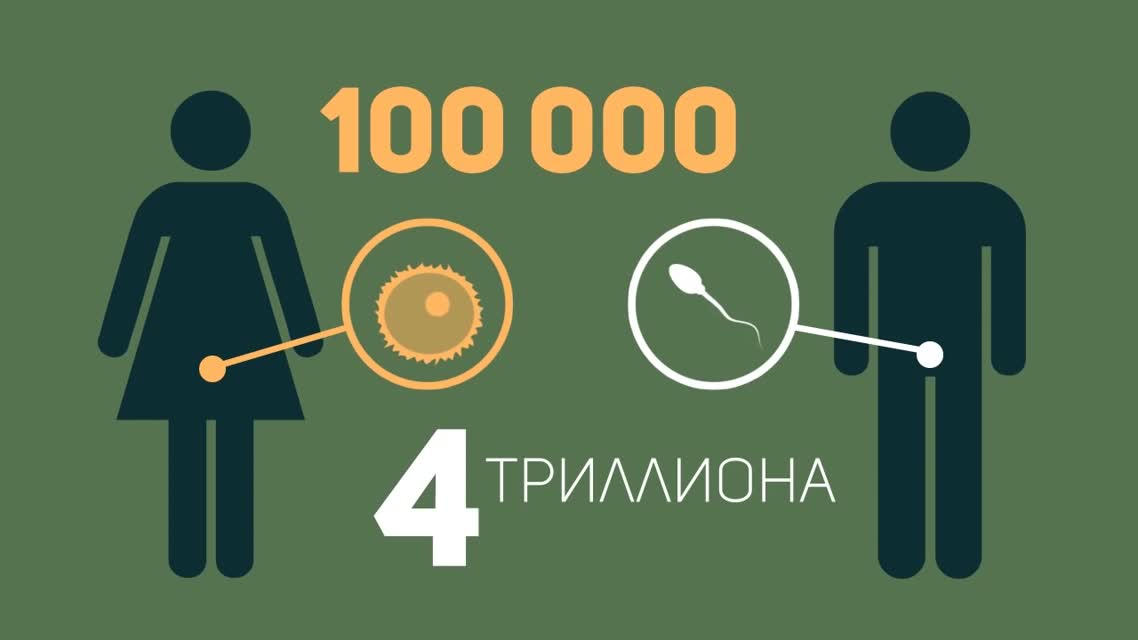 ПОЧЕМУ ТЫ НЕ ДОЛЖЕН БЫЛ РОДИТЬСЯ