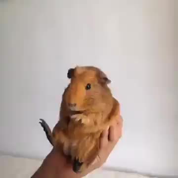 When the beat drops