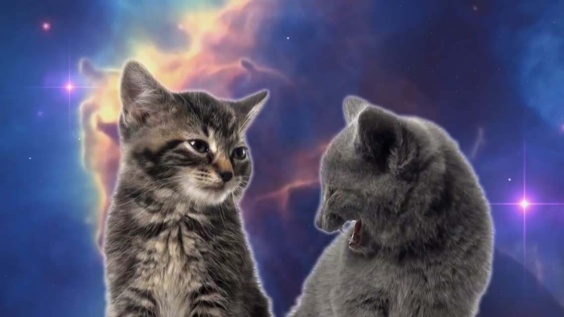 Space Cats — Magic Fly