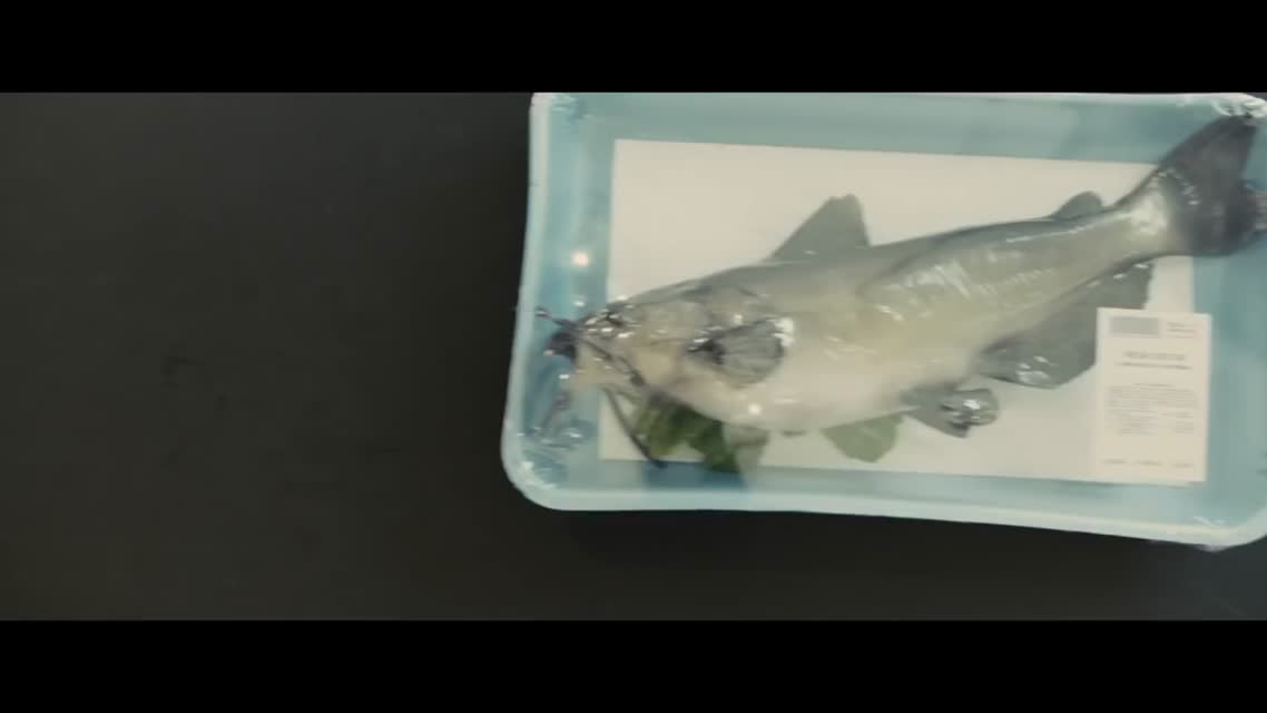 Бумажные города / Paper Towns (2015)