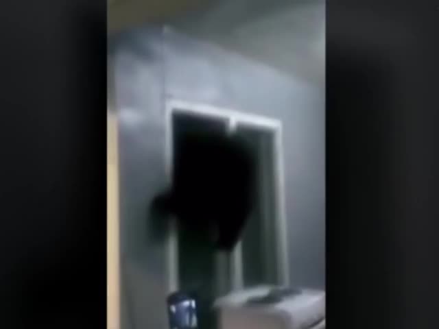 Мишка убегает через форточку