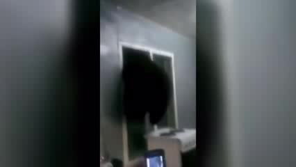 Медвежонок застрял в форточке