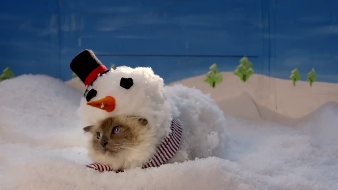 TEMPTATIONS™ – Say sorry for the holidays (60sec)