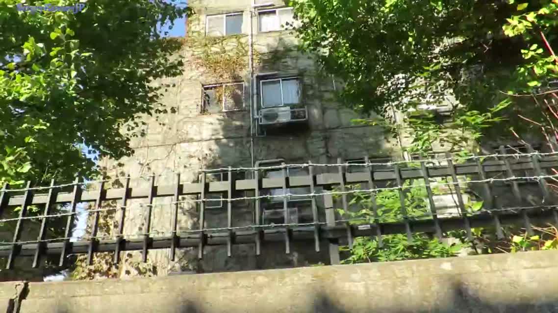 Япония. Свидание с Марико. Большое яблоко. Зубастый депутат.
