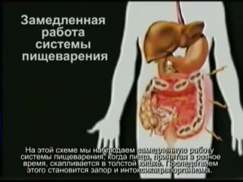 Откуда берутся все болезниОчищение