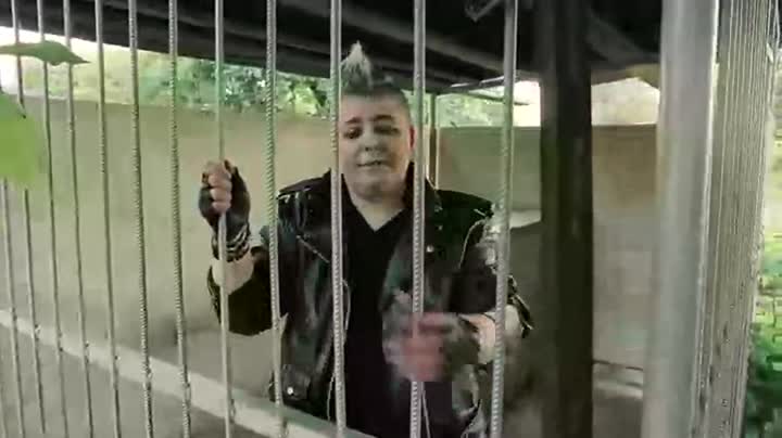 Украинцы цэ собакi