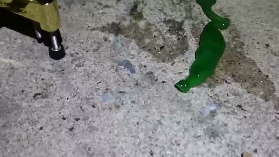 Неизвестная форма жизни в гараже