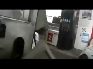 человек живи