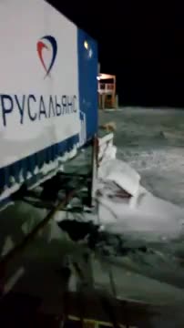 Убийство медведицы