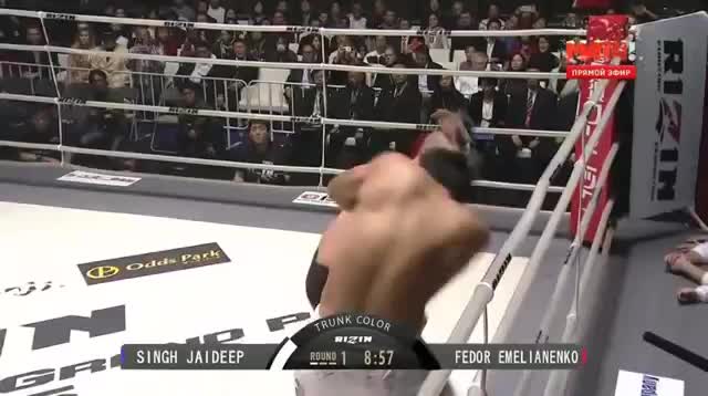 Федор Емельяненко vs Джайдип Сингх
