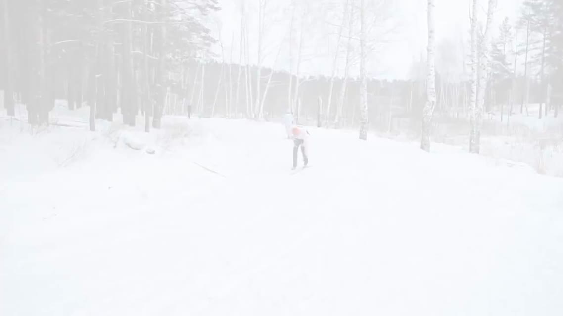 Коньковый ход. Упражнения для начинающих.