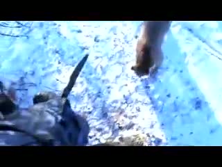 Встреча с зимой с медведем