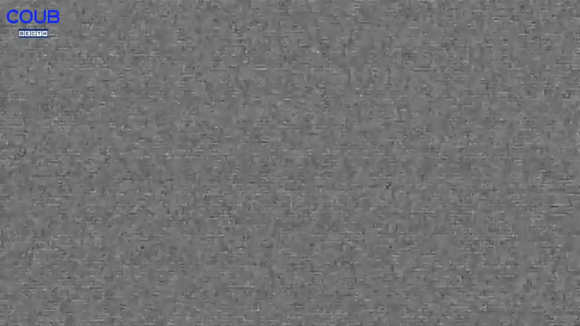 Coub Вести - Дикаприо