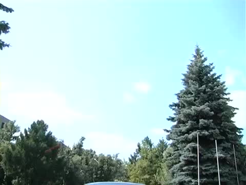 Эх Загубили