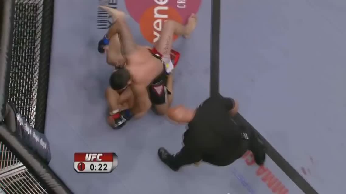 Fabricio Werdum Highlights 2015
