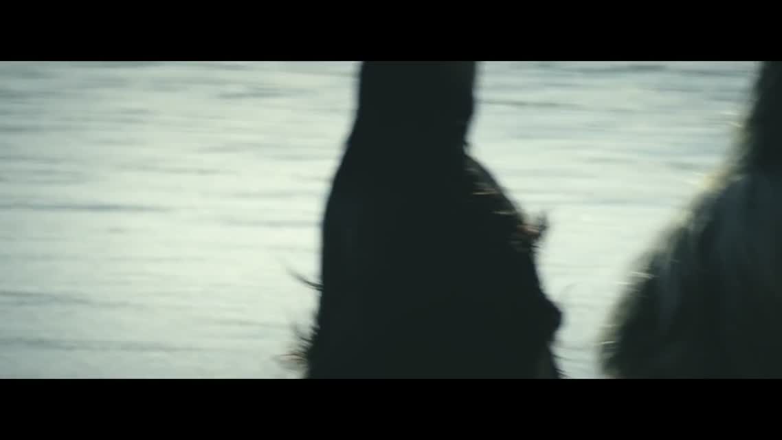 LINDEMANN - Fish On (Official Video)