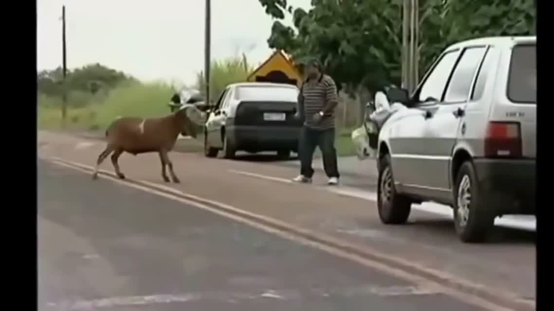 Берегись барана!