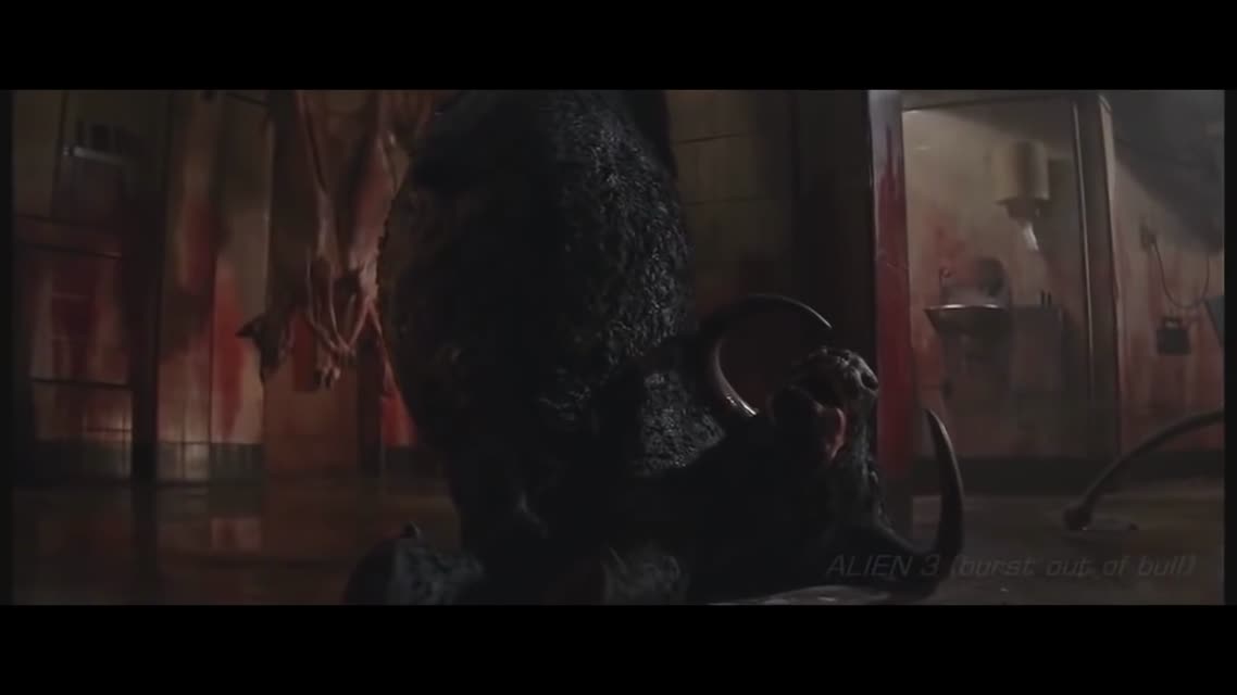 Чужой - Виды  Alien - Xenomorph
