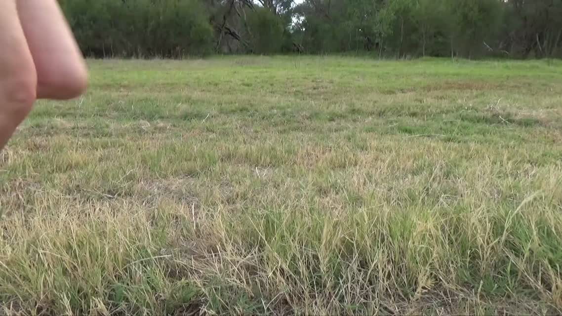 How To Tame a Wild Animal