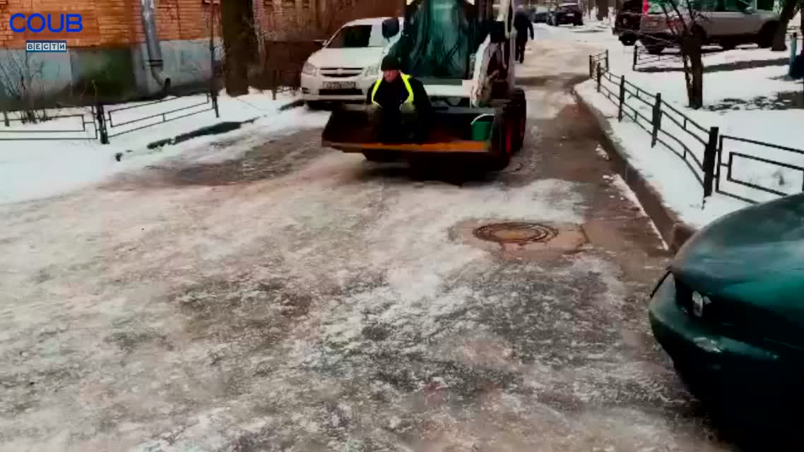 Coub Вести - Коты