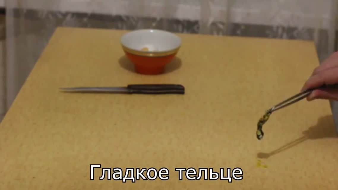 Ламповый Гомункул
