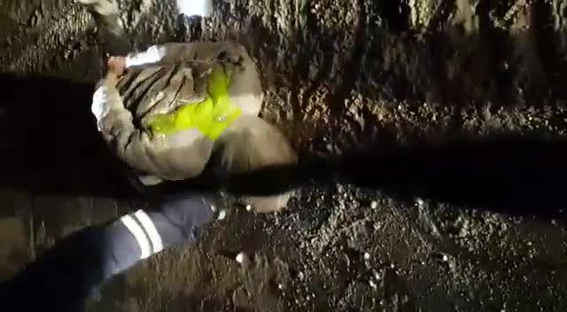 Под спайсом. Паратунская трасса