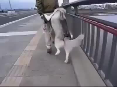 Я устал, возьми меня на ручки!