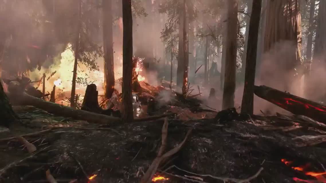 Star Wars Battlefront – Free Game Updates