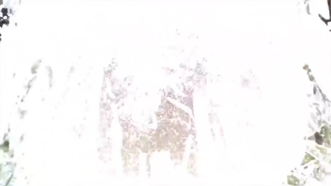 яCOUBович #118 Стальные яйки!