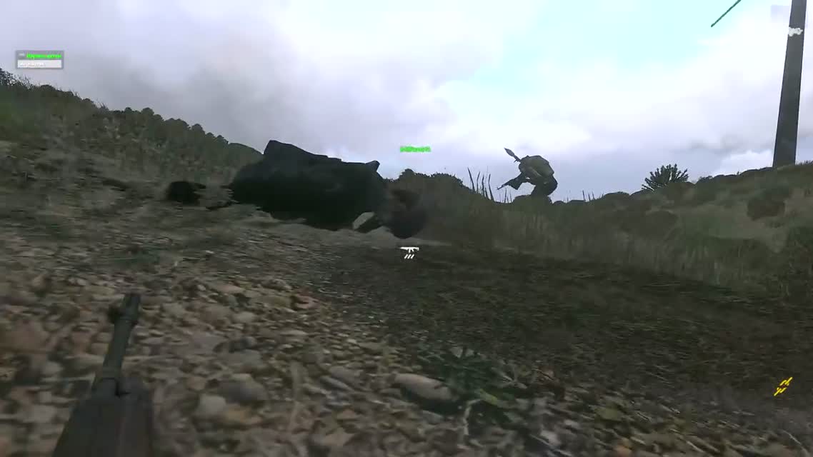 Допонтовались =) (Arma 3)