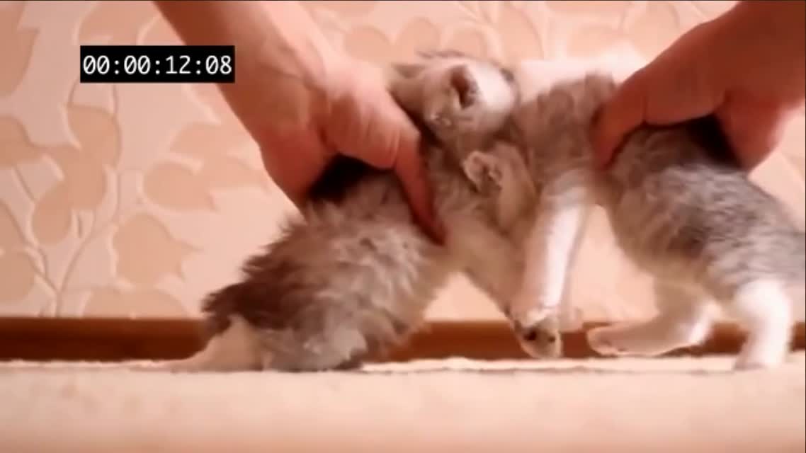 ПОТРАЧЕНО - Полёт нормальный