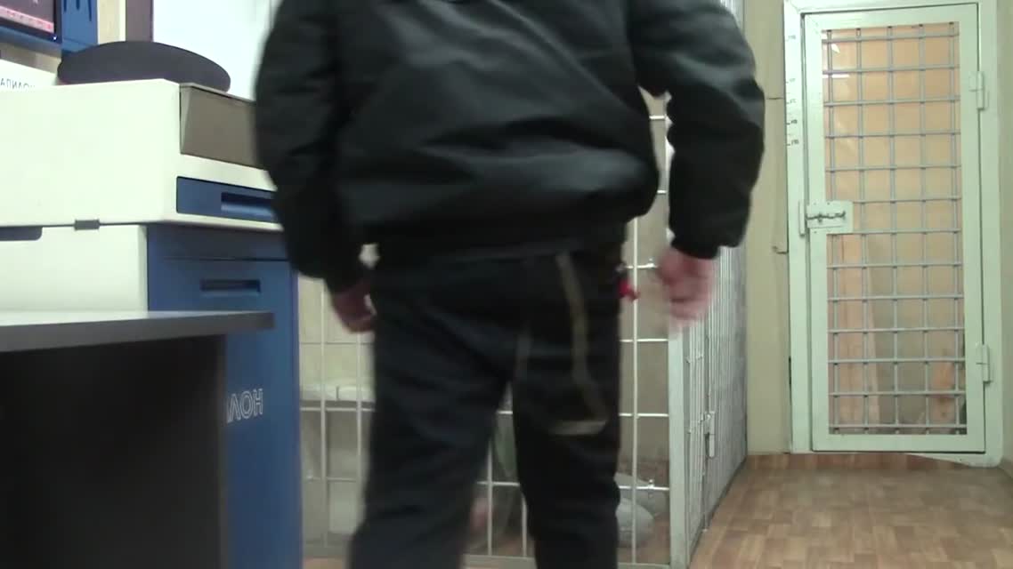 Дебоширка в аэропорту Толмачёво