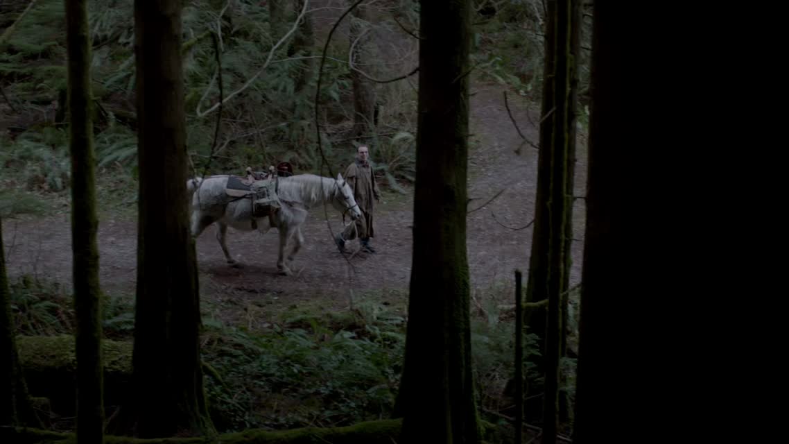 Гризли / Into the Grizzly Maze (2015)