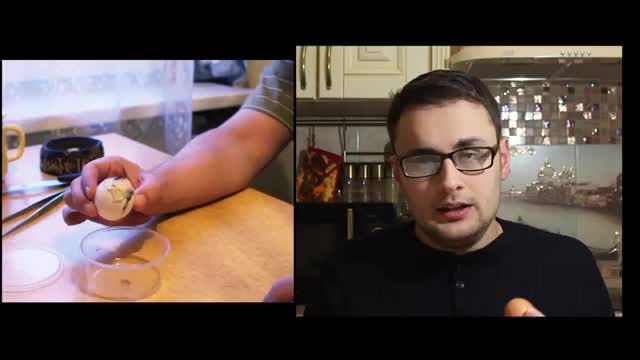 Гомункул - разоблачаем по шагам (Homunculus debunked)