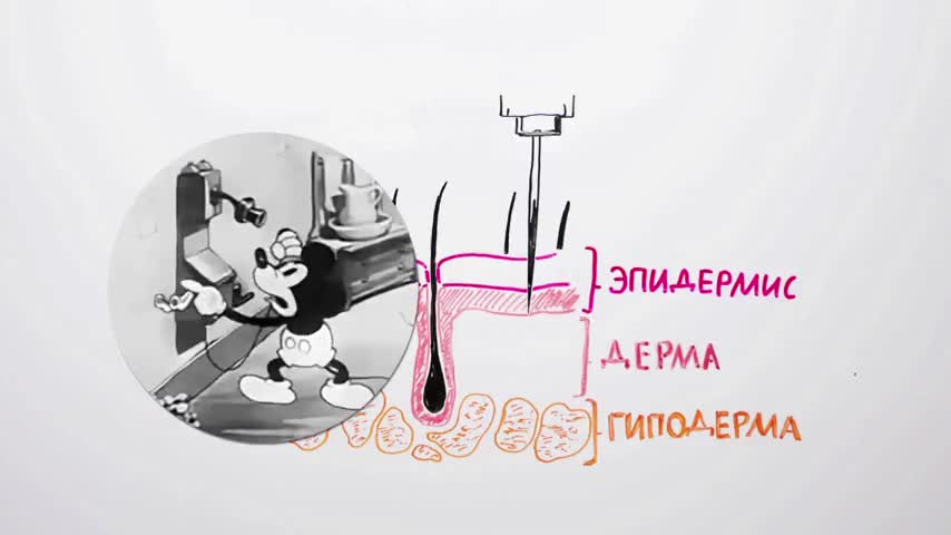 НАУЧПОК - Почему татуировки не смываются