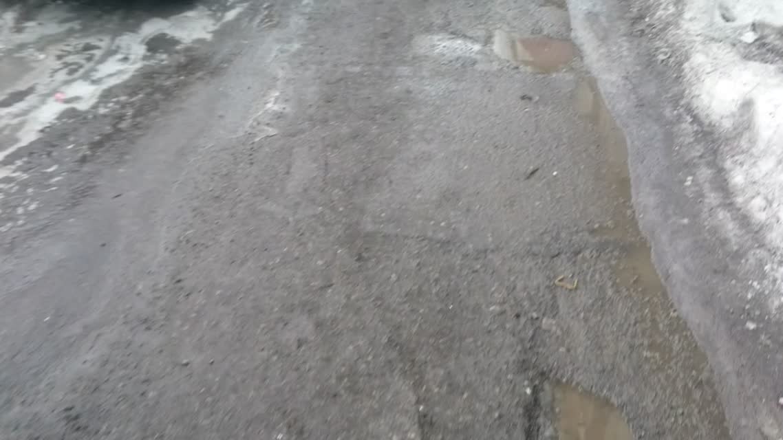 Невнимательные голуби