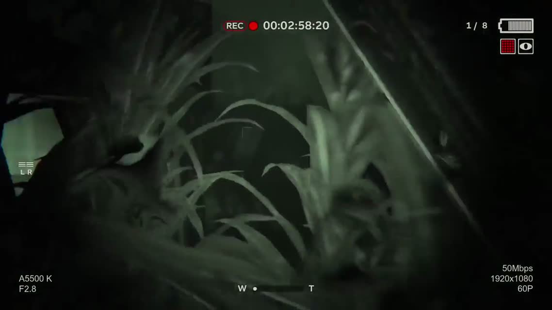 Outlast II — Бегство в кукурузе! #1 (60 FPS) Первый геймплей!