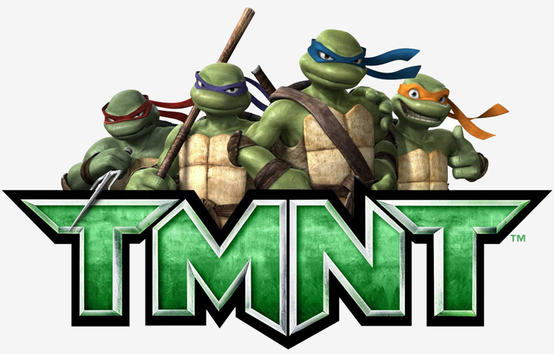 Snapping Turtle Attacks