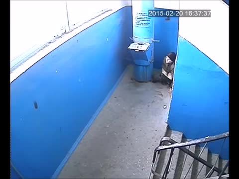 Заколдованный подъезд в котором хочеться с**ть