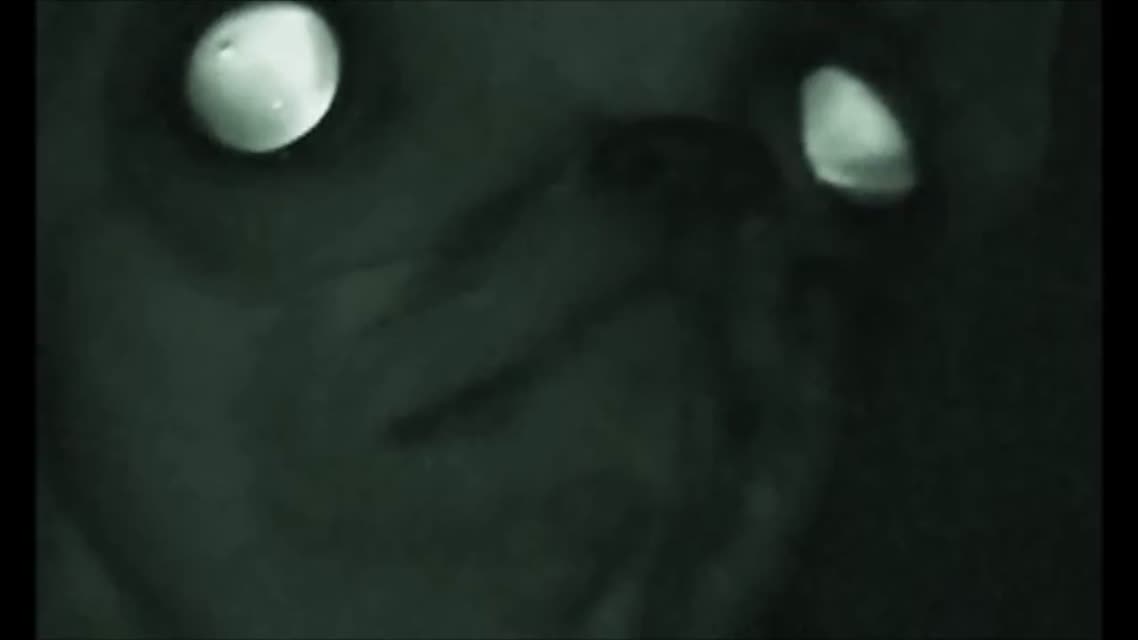 Rubber Johnny by Chris Cunningham & Aphex Twin