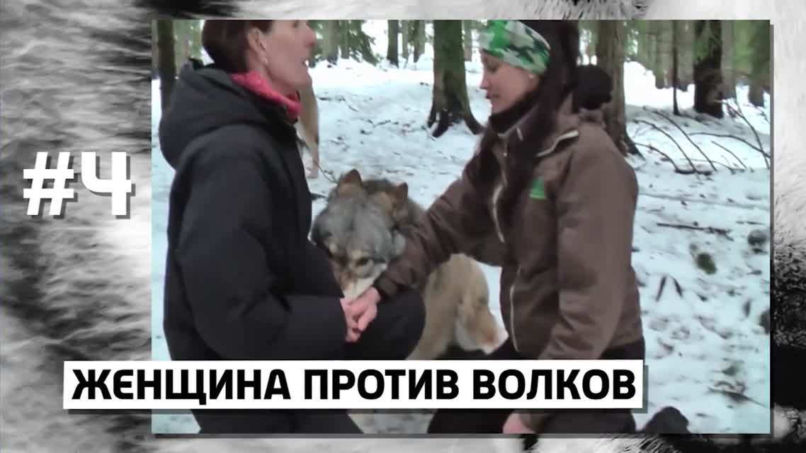 10 СМЕРТЕЙ ДРЕССИРОВЩИКОВ ЖИВОТНЫХ