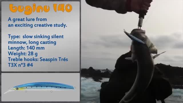 Fishing Seaspin Lanzarote